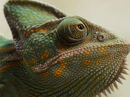 分散劑發(fā)貨